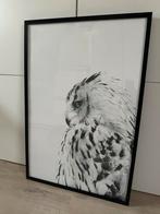 Poster uil met zwarte lijst, Huis en Inrichting, Woonaccessoires | Lijsten, Ophalen, Kunststof, Zo goed als nieuw, 75 cm of meer