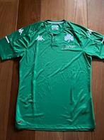 Voetbalshirt Panathinaikos, groen/wit, maat XL, Maat XL, Ophalen of Verzenden, Nieuw, Shirt