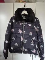 Nieuw Dames Winterjas, Maat 38/40 (M), Primark, Zwart, Nieuw