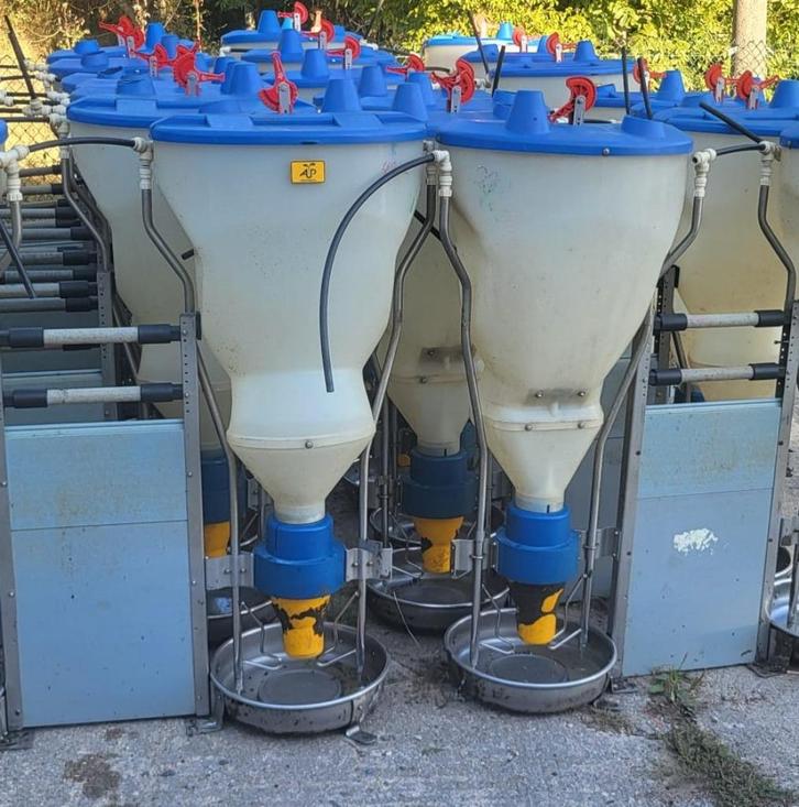 (7) Roxell Blu'Hox 30 groepvoeder groot, Dieren en Toebehoren, Schapen, Geiten en Varkens, Varken, Meerdere dieren