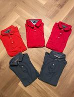 Polo's van Tommy Hilfiger, Maat 52/54 (L), Overige kleuren, Tommy Hilfiger, Ophalen of Verzenden