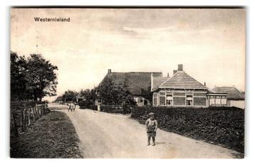 Westernieland, (bij Pieterburen)  beschikbaar voor biedingen