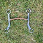 Bit te koop, Dieren en Toebehoren, Ophalen of Verzenden, Overige soorten