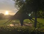 Luxe stertent huren, Tuin en Terras, Partytent, 6 meter of meer, Nieuw, 8 meter of meer