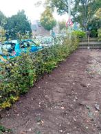 Tuinonderhoud, Ophalen of Verzenden, Nieuw