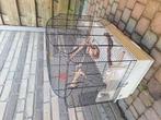 Vogelkooi, Dieren en Toebehoren, Ophalen, Gebruikt, Hout, Broedkooi of Kweekkooi