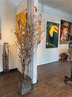 Boomtakken met stronk als decoratiemateriaal, Ophalen, Zo goed als nieuw