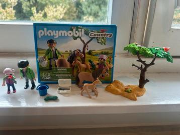 Playmobil 6949 Paardenset - Compleet! beschikbaar voor biedingen