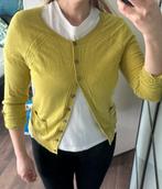 Beacan Cove vest pullover jumper lime mosterd kleur maat 38, Nieuw, Beacan Cove, Maat 38/40 (M), Ophalen of Verzenden