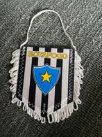 Botafogo vaantje, Ophalen of Verzenden, Buitenlandse clubs, Vaantje of Sjaal