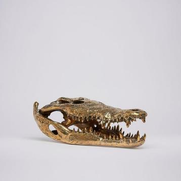 Krokodillenschedel op een standaard gepolijst brons beschikbaar voor biedingen