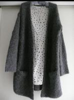 Sissy Boy lang vest wol alpaca grijs maat L, Kleding | Dames, Ophalen of Verzenden, Zo goed als nieuw, Maat 38/40 (M), Grijs