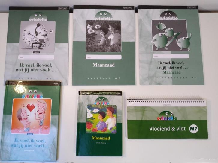 Estafette - VERSIE 2 - Groep 7 - M7 pakket voor €15,00., Boeken, Schoolboeken, Nieuw, Nederlands, Overige niveaus, Ophalen of Verzenden