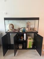 kooi, Ophalen, Kooi, 90 cm of meer, Hamster