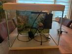 Superfish aquariumpje, Ophalen, Zo goed als nieuw, Leeg aquarium