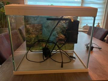 Superfish aquariumpje beschikbaar voor biedingen