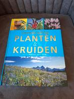 Geneeskrachtige planten & kruiden Ute Kunkele, Boeken, Ophalen of Verzenden, Zo goed als nieuw, Kruiden en Alternatief