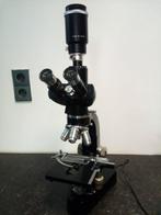 Leitz Wetzlar Biologische Microscoop, Ophalen of Verzenden, Gebruikt, 400x tot 1000x, Biologische microscoop