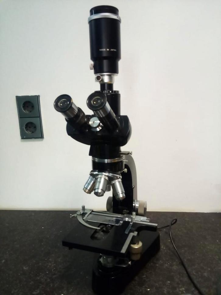 Leitz Wetzlar Biologische Microscoop, Audio, Tv en Foto, Optische apparatuur | Microscopen, Gebruikt, Biologische microscoop, 400x tot 1000x