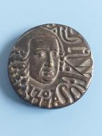 Penning VPK carl linnaeus, Postzegels en Munten, Penningen en Medailles, Ophalen of Verzenden, Brons, Nederland