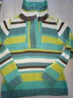 te koop mooi dames trui, Kleding | Dames, Truien en Vesten, Ophalen of Verzenden, Zo goed als nieuw, Maat 38/40 (M)