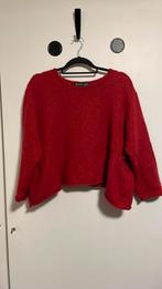 Barbara Speer trui M, Kleding | Dames, Ophalen of Verzenden, Zo goed als nieuw, Maat 38/40 (M)