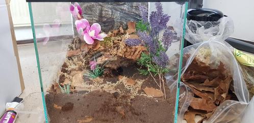 Glazen Terrarium voor Vogelspinnen, Reptielen en Amfibieën, Dieren en Toebehoren, Reptielen en Amfibieën | Toebehoren, Nieuw, Terrarium of Paludarium