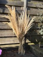 Pampas pluimen / gras - 37 stuks voor decoratie, Ophalen, Zo goed als nieuw