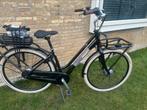 Giant Triple X E+ dames, Fietsen en Brommers, Elektrische fietsen, 51 tot 55 cm, Ophalen of Verzenden, Zo goed als nieuw