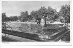 Apeldoorn Bospad.  1948, Verzamelen, Ansichtkaarten | Nederland, Ophalen of Verzenden, 1940 tot 1960, Gelopen, Gelderland