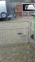 Emmerbeugels/ringen, Dieren en Toebehoren, Schapen, Geiten en Varkens, Geit