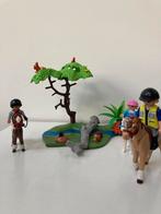 Playmobil 6947 5685 Complete set mist tuigje, Ophalen of Verzenden, Gebruikt, Complete set
