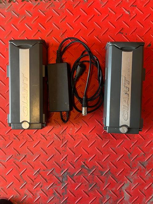 Giant Twist Hybride dubbel accu pack met lader, Fietsen en Brommers, Fietsaccessoires | Fietsaccu's, Gebruikt, Ophalen
