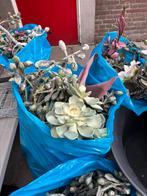 Bloemschikken kunstbloemen, Huis en Inrichting, Woonaccessoires | Kunstplanten en Kunstbloemen, Ophalen, Nieuw
