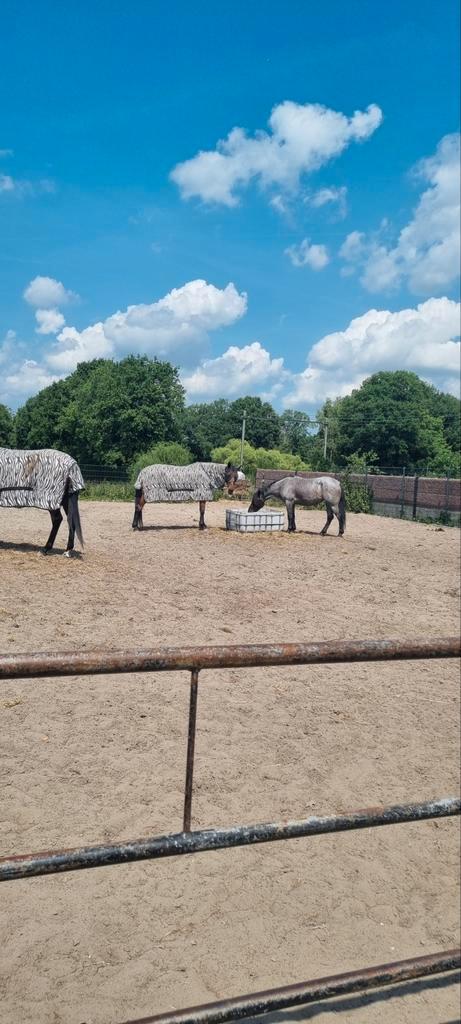 Stal hulp/verzorger, Hobby en Vrije tijd, Overige Hobby en Vrije tijd, Ophalen of Verzenden