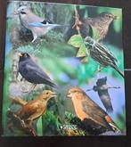 Verzamelband:  Vogels van onze streken' Editions Atlas, Boeken, Ophalen of Verzenden, Vogels, Zo goed als nieuw