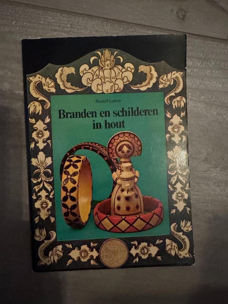 Boek Branden en schilderen in hout 906010306-8, Boeken, Hobby en Vrije tijd, Gelezen, Houtbewerking, Ophalen of Verzenden