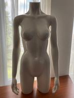 Professionele Vrouwen Paspop perfect voor Vinted,Marktplaats, Ophalen, Eu, Gebruikt, Eu