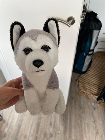 Husky Knuffel - Zo Goed Als Nieuw! beschikbaar voor biedingen