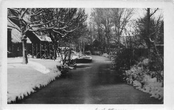 (380-261-037) Foto (geen kaart) beschikbaar voor biedingen