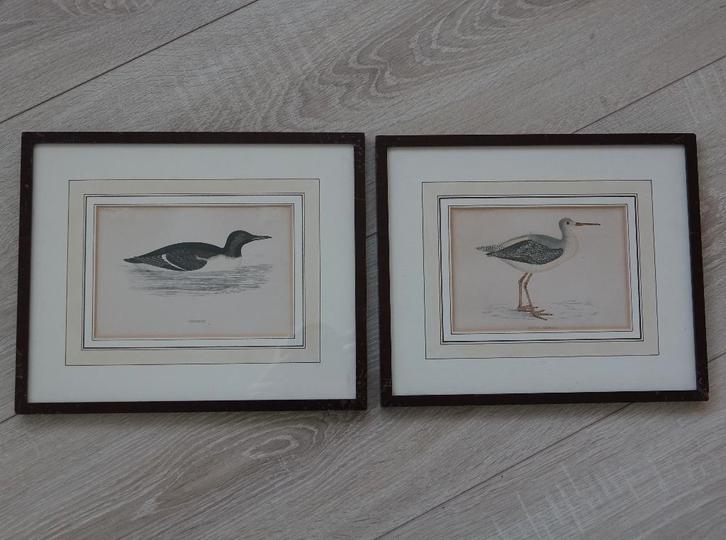 ingekleurde ets, Antiek en Kunst, Kunst | Etsen en Gravures, Ophalen of Verzenden