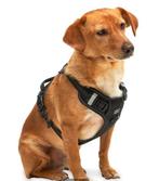 Gratis Honden anti trek ¥  harnas mt S , jake en jacky S new, Dieren en Toebehoren, Ophalen, Nieuw