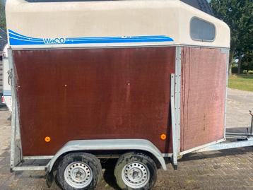 Waco 1 1/5 paards trailer beschikbaar voor biedingen