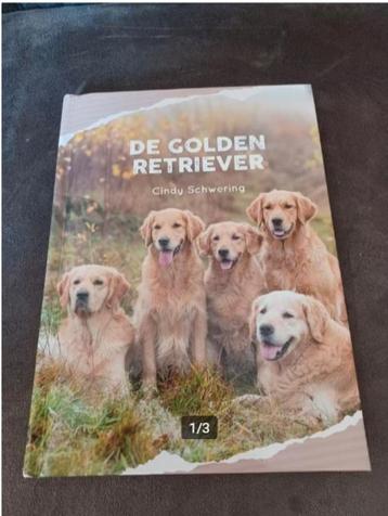 De golden retriever Cindy schwering beschikbaar voor biedingen