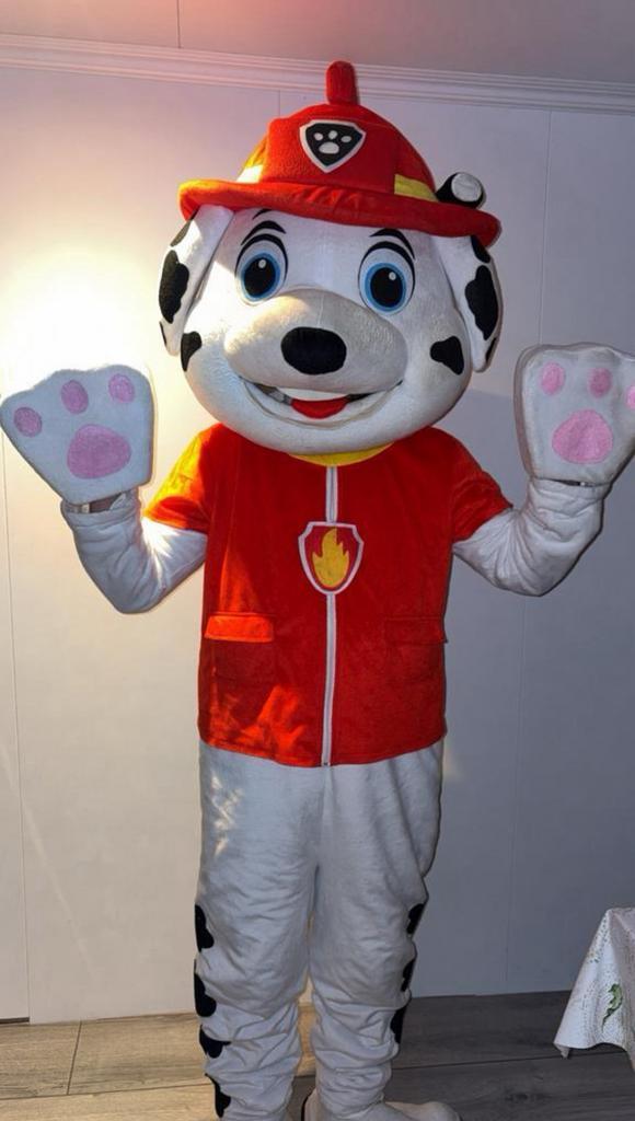 MARSHALL TE HUUR, Hobby en Vrije tijd, Feestartikelen | Verhuur, Zo goed als nieuw, Ophalen of Verzenden