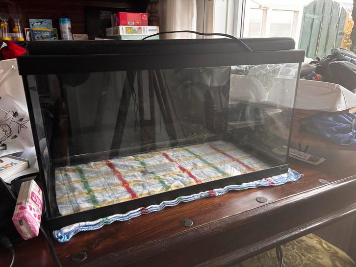 Compleet 60 liter aquarium met buitenfilter, en toebehoren, Dieren en Toebehoren, Vissen | Aquaria en Toebehoren, Zo goed als nieuw
