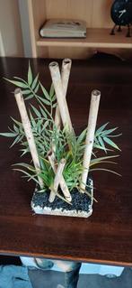 Aquarium kunstplanten te koop, Huis en Inrichting, Kamerplanten, Ophalen, Overige soorten, Minder dan 100 cm
