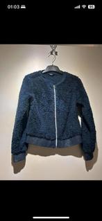 Teddy vest blauw maat 146/152, Kinderen en Baby's, Kinderkleding | Maat 146, Ophalen of Verzenden, Zo goed als nieuw, Meisje, Trui of Vest