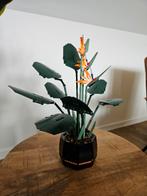 Lego 10289 Birds of Paradise, Kinderen en Baby's, Speelgoed | Duplo en Lego, Ophalen, Zo goed als nieuw