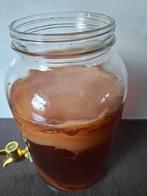 Kombucha SCOBY - Zelf Kombucha Maken, Ophalen, Nieuw